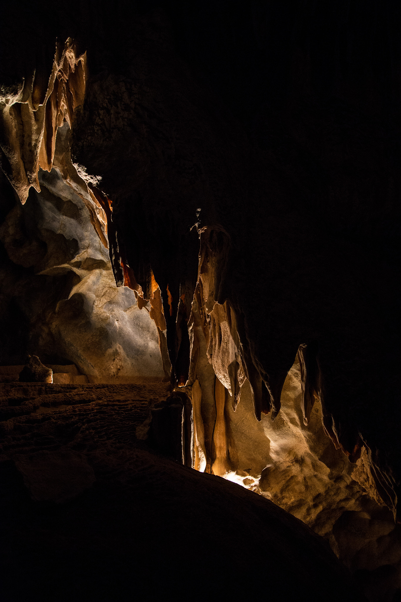 Canon EOS 6D + Canon EF 500mm F4L IS USM sample photo. Lucas caves, jenolan photography