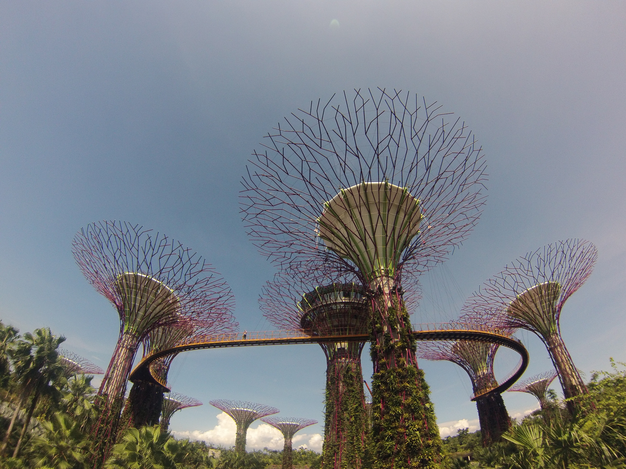 GoPro Hero3-Silver Edition sample photo. Gardens by the bay, singapore, 2014 photography