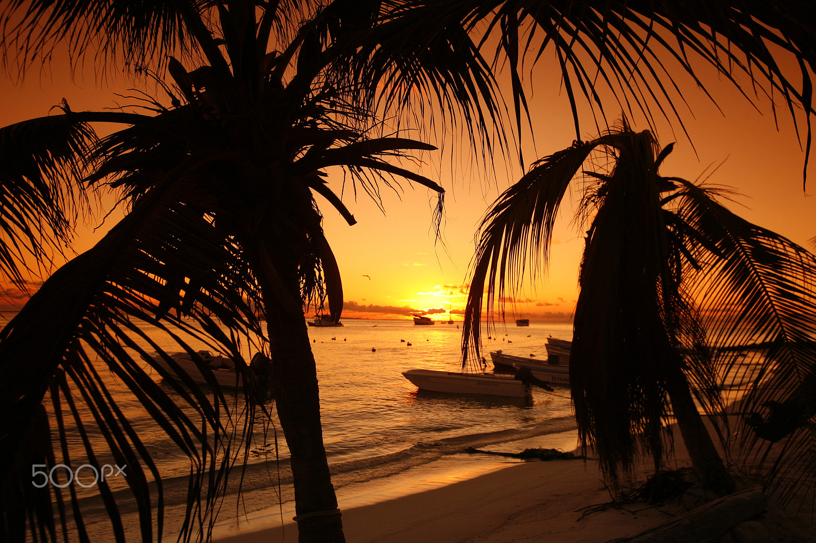 Canon EOS 5D + Canon EF 16-35mm F2.8L USM sample photo. South america venezuela los roques island photography