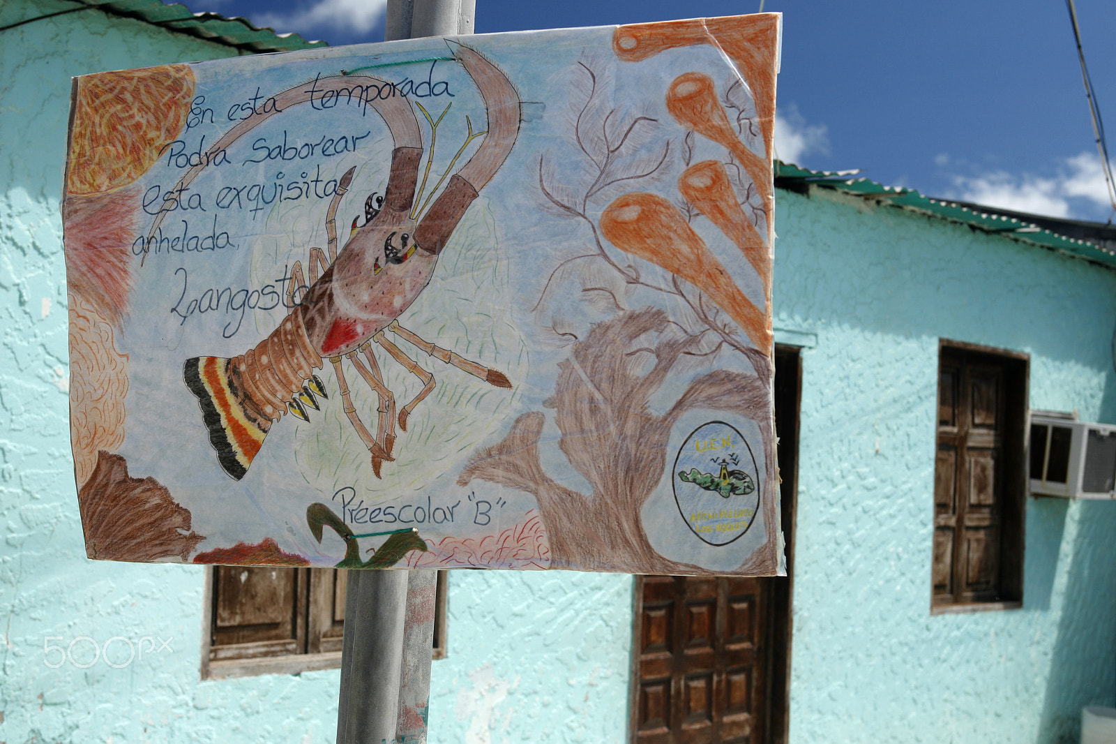 Canon EOS 5D + EF28-70mm f/2.8L USM sample photo. South america venezuela los roques seafood lobster photography