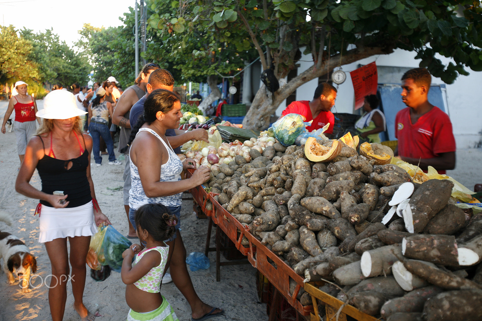 Canon EOS 5D + Canon EF 16-35mm F2.8L USM sample photo. South america venezuela los roques island photography