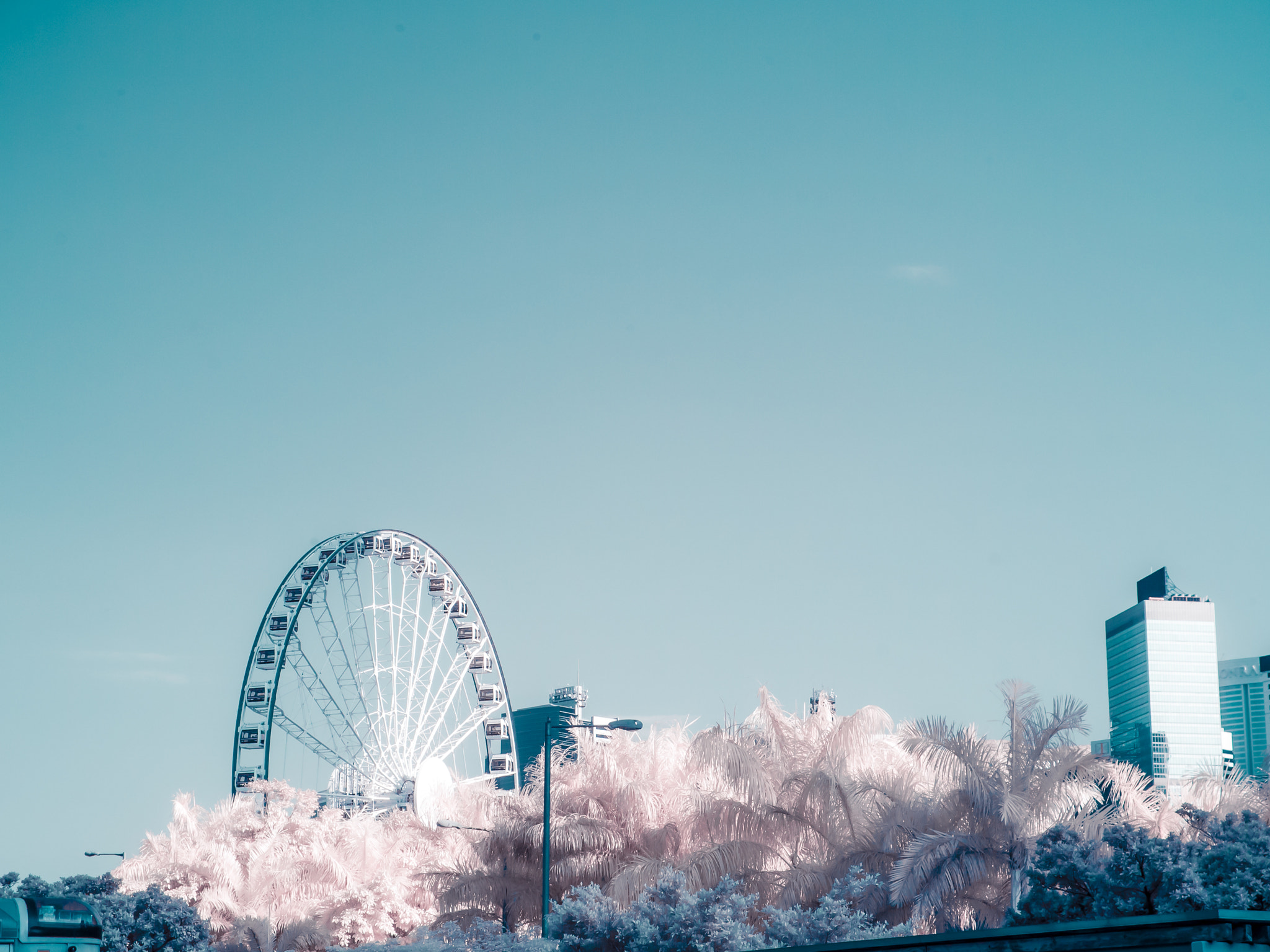 Panasonic Lumix DMC-GF1 sample photo. Hong kong in ir photography