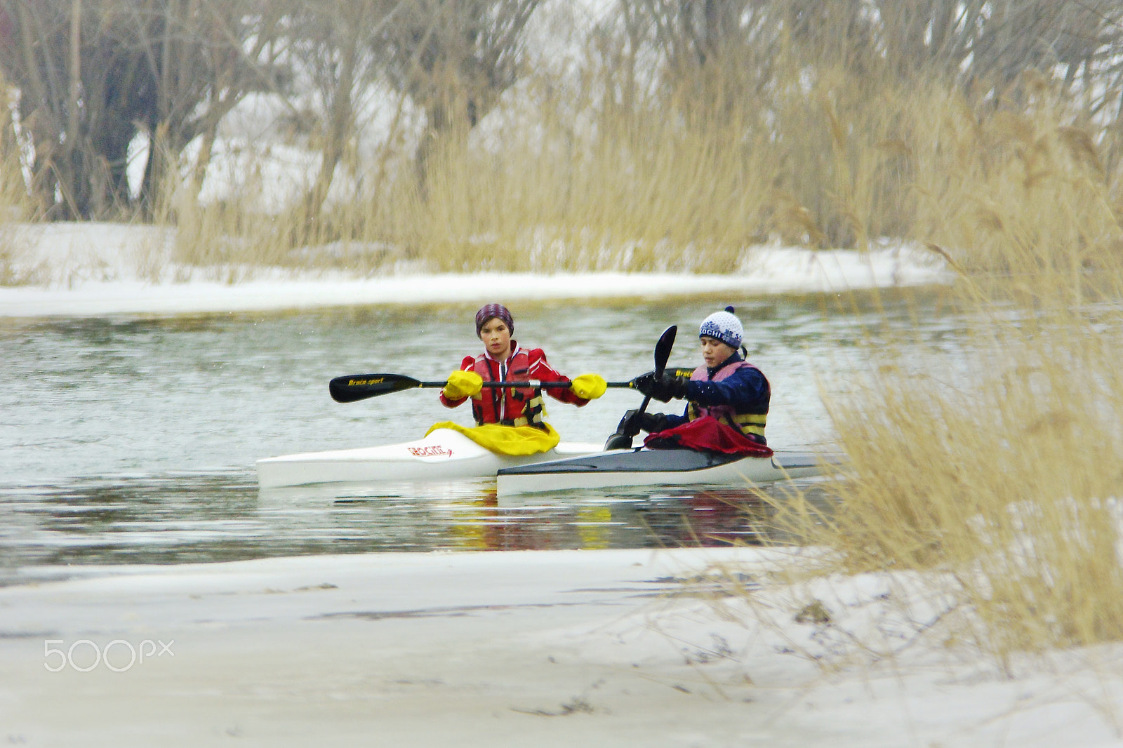 Sony SLT-A65 (SLT-A65V) + Tamron Lens (255) sample photo. Cold water photography