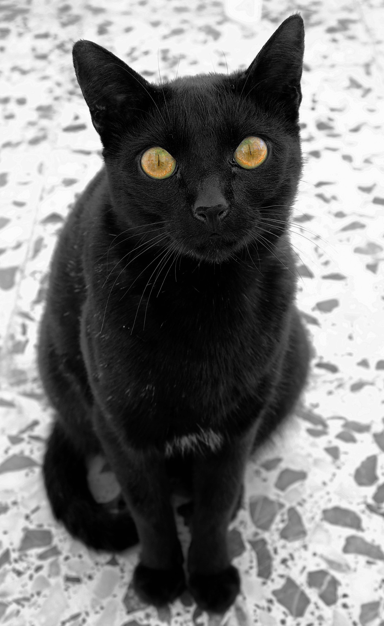 Olympus OM-D E-M5 sample photo. Los ojos photography