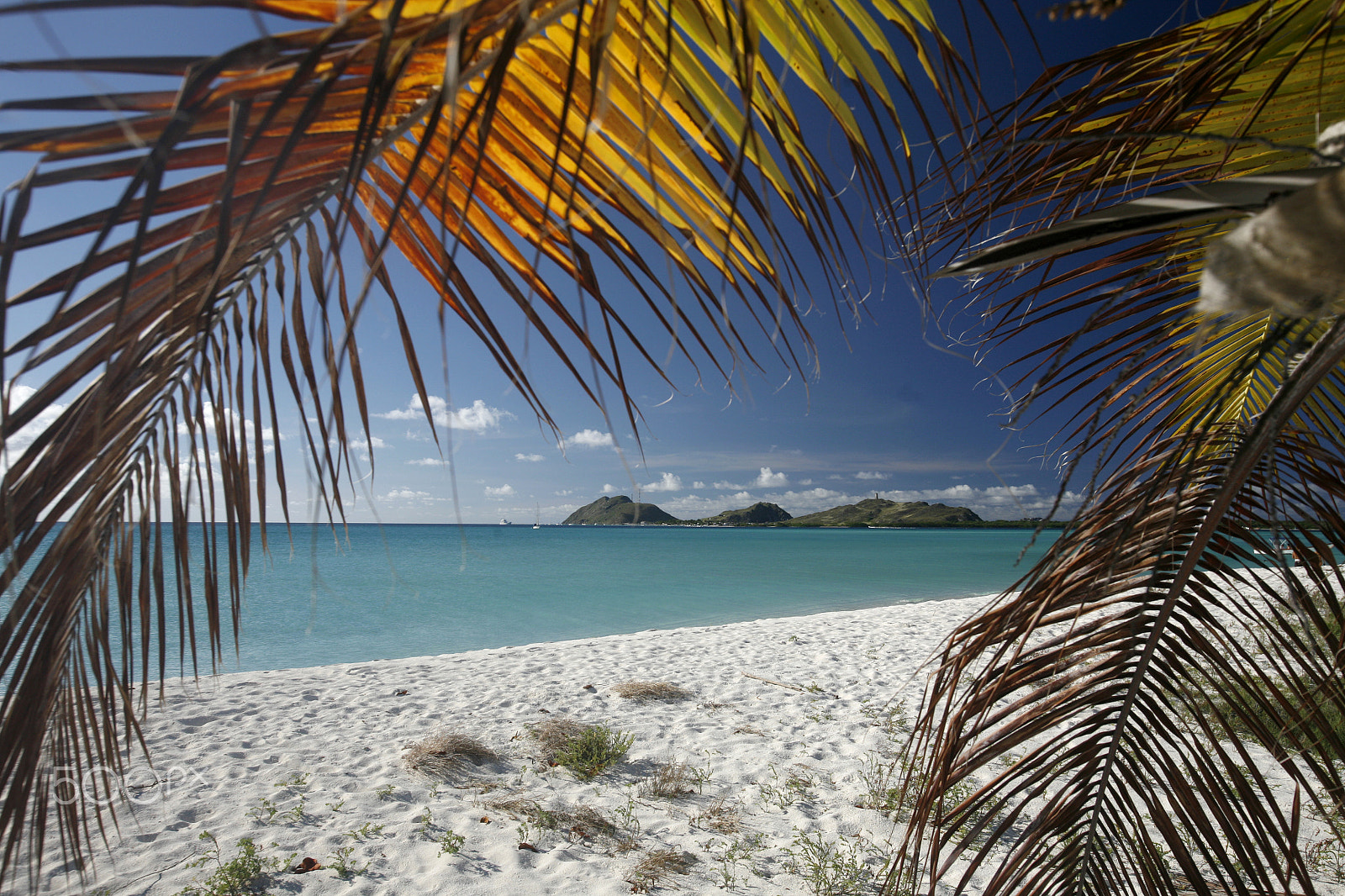 Canon EOS 5D + Canon EF 16-35mm F2.8L USM sample photo. South america venezuela los roques island photography