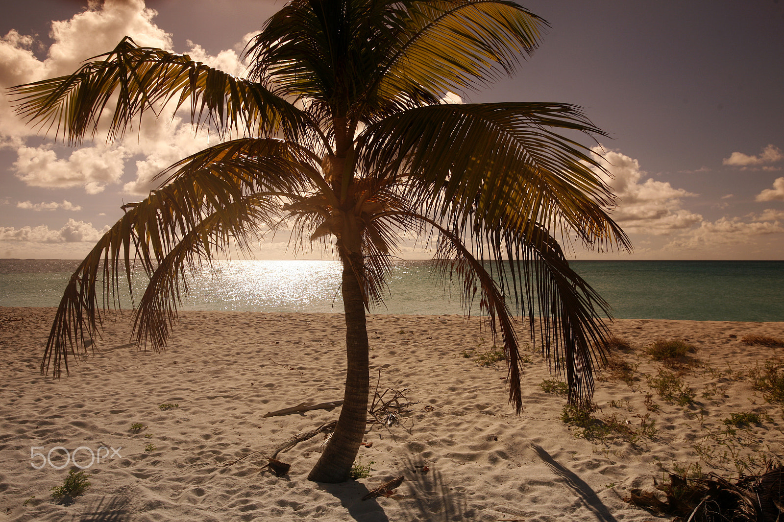 Canon EOS 5D + Canon EF 16-35mm F2.8L USM sample photo. South america venezuela los roques island photography