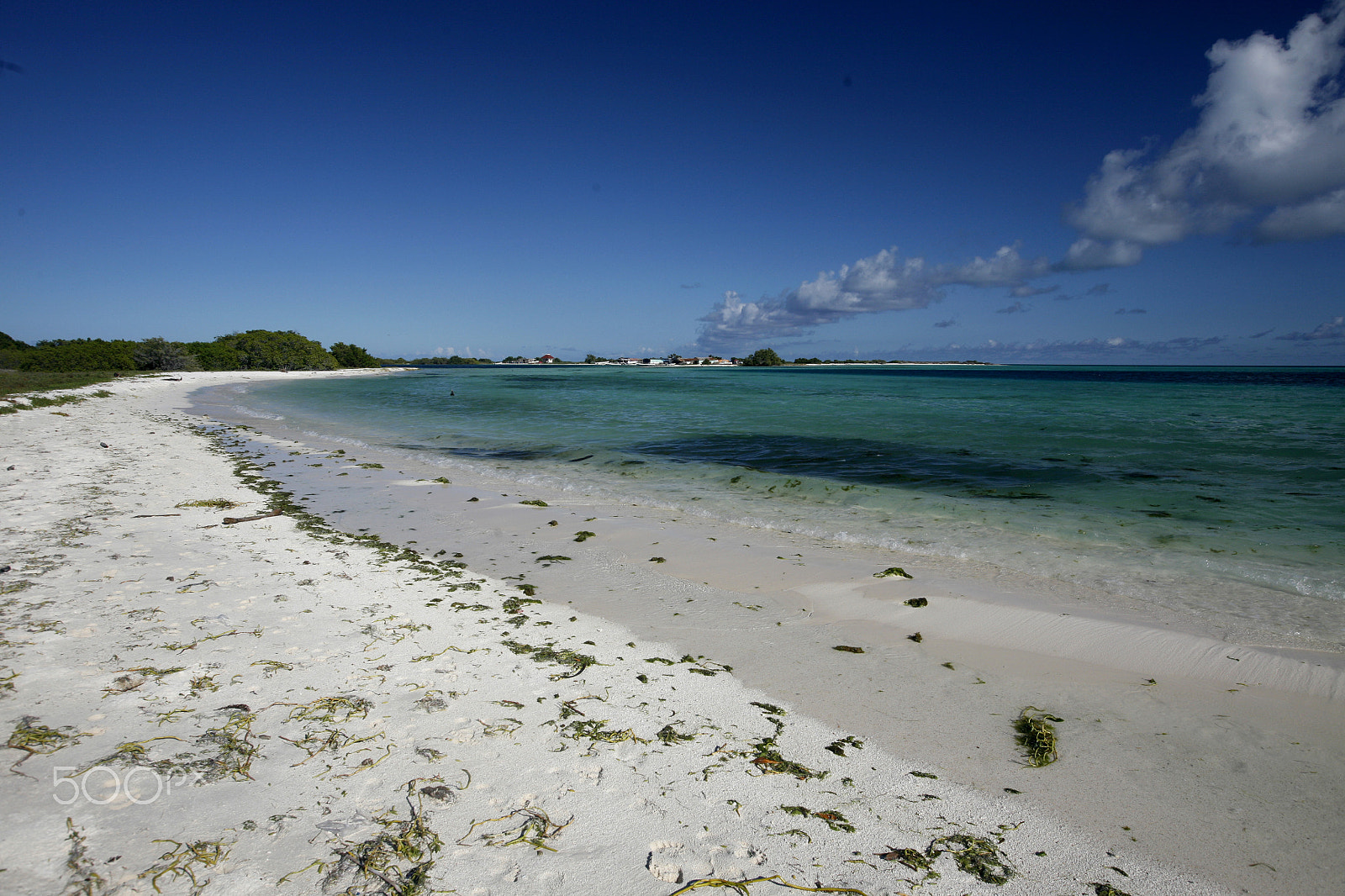 Canon EOS 5D + Canon EF 16-35mm F2.8L USM sample photo. South america venezuela los roques island photography