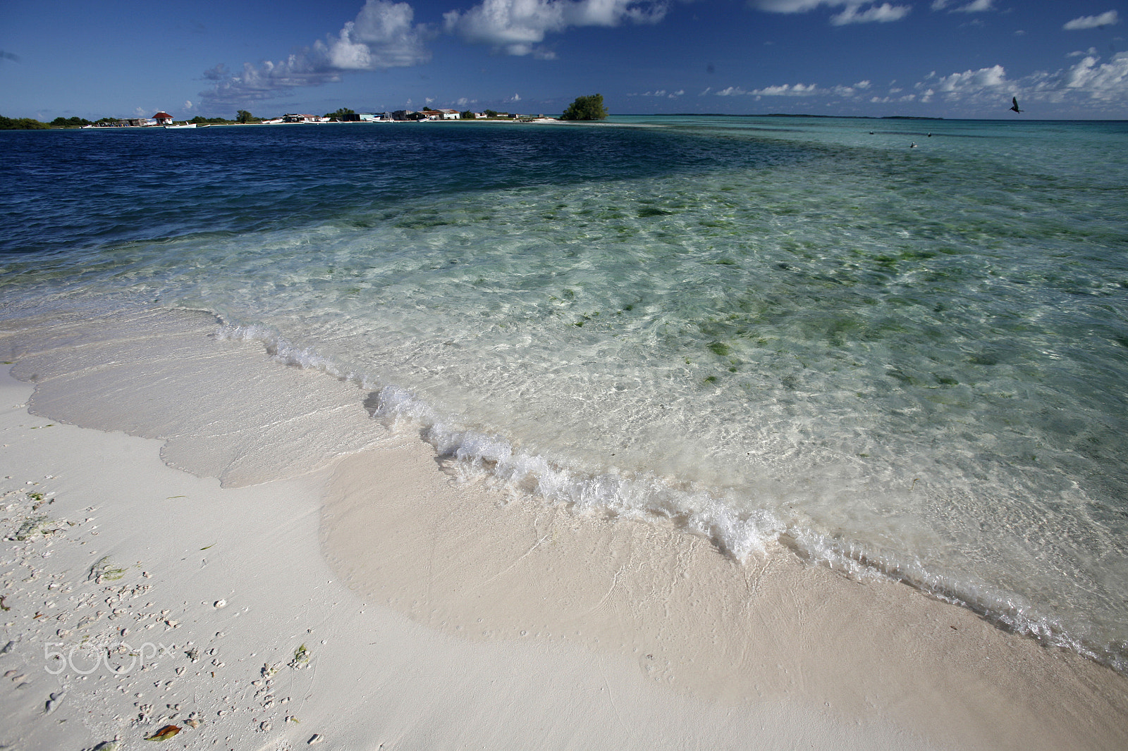 Canon EOS 5D + Canon EF 16-35mm F2.8L USM sample photo. South america venezuela los roques island photography