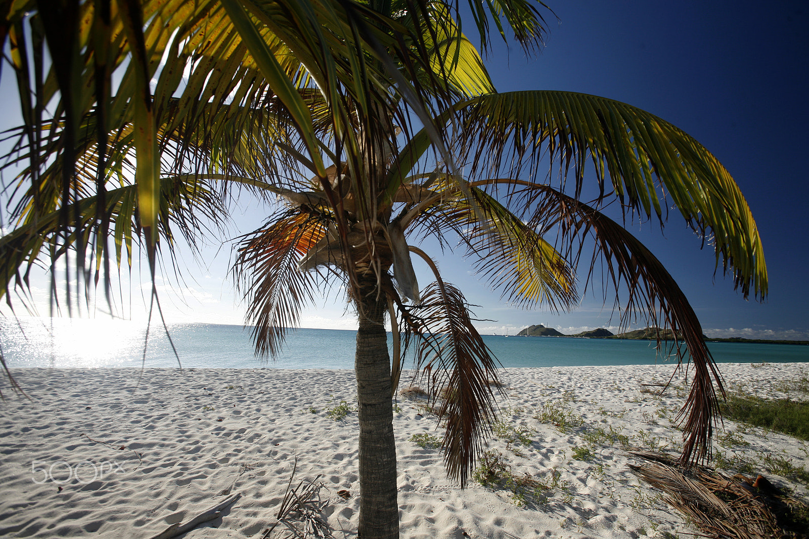 Canon EOS 5D + Canon EF 16-35mm F2.8L USM sample photo. South america venezuela los roques island photography