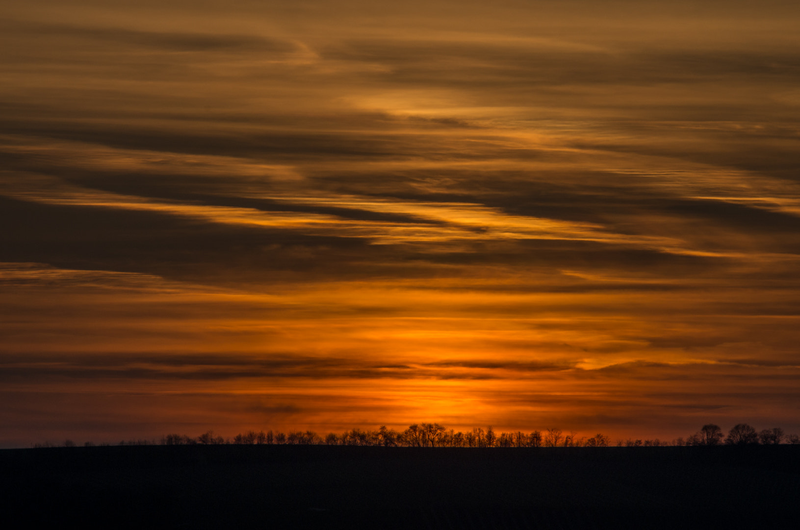 Pentax K-5 II sample photo. . photography