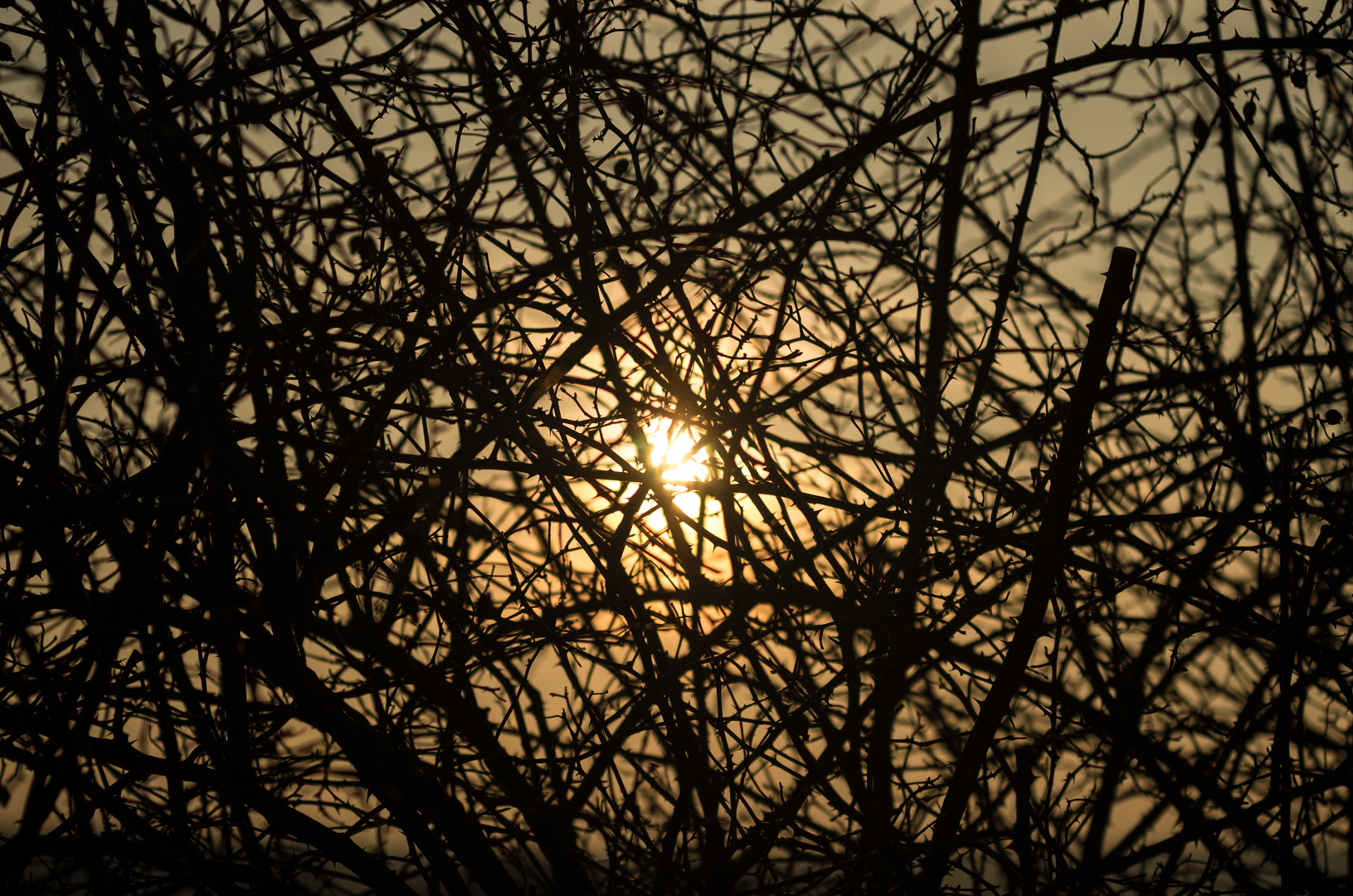 Pentax K-5 II sample photo. . photography