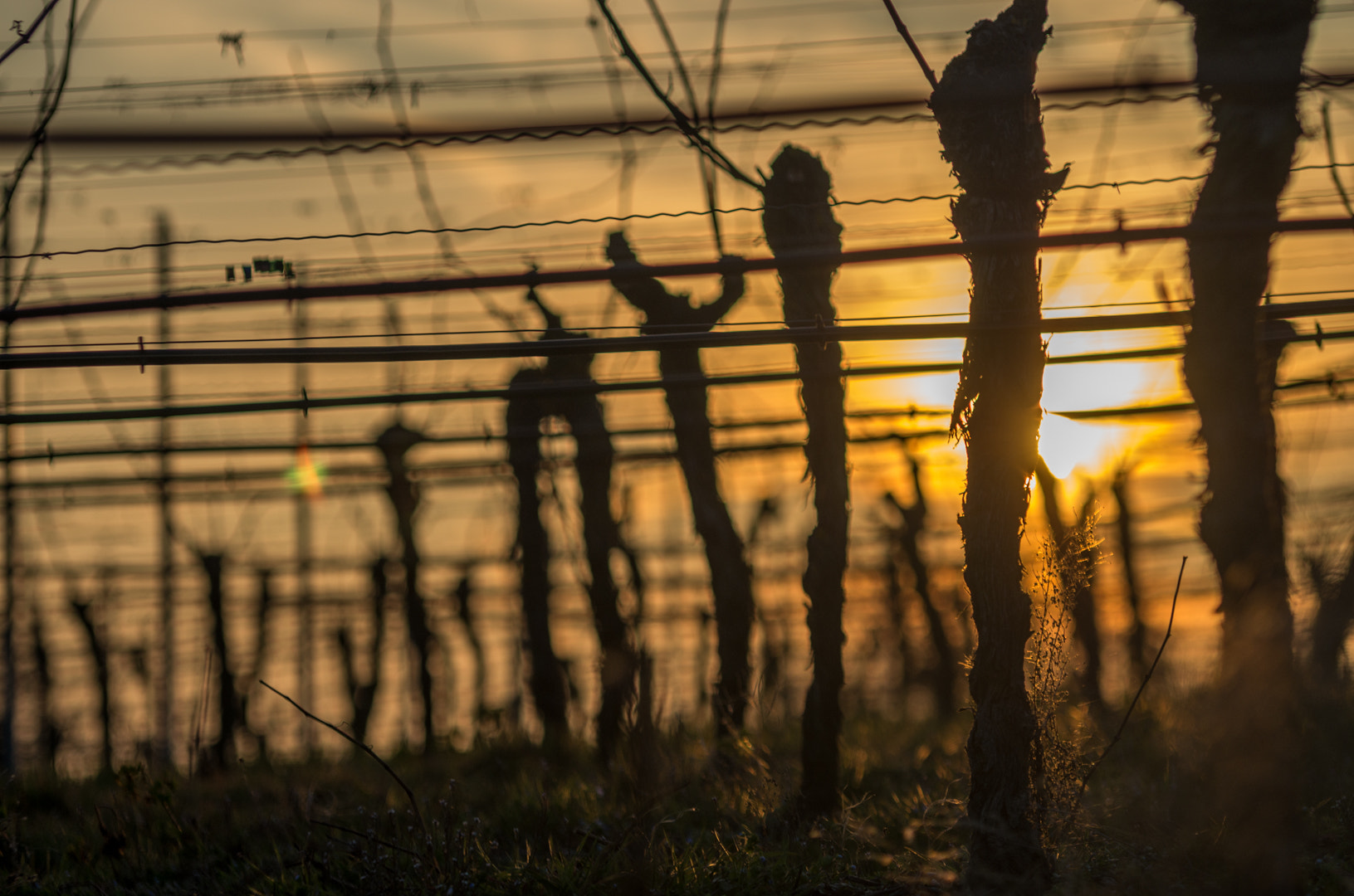 Pentax K-5 II sample photo. . photography