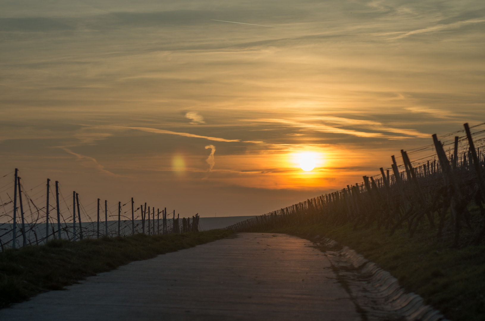 Pentax K-5 II sample photo. . photography