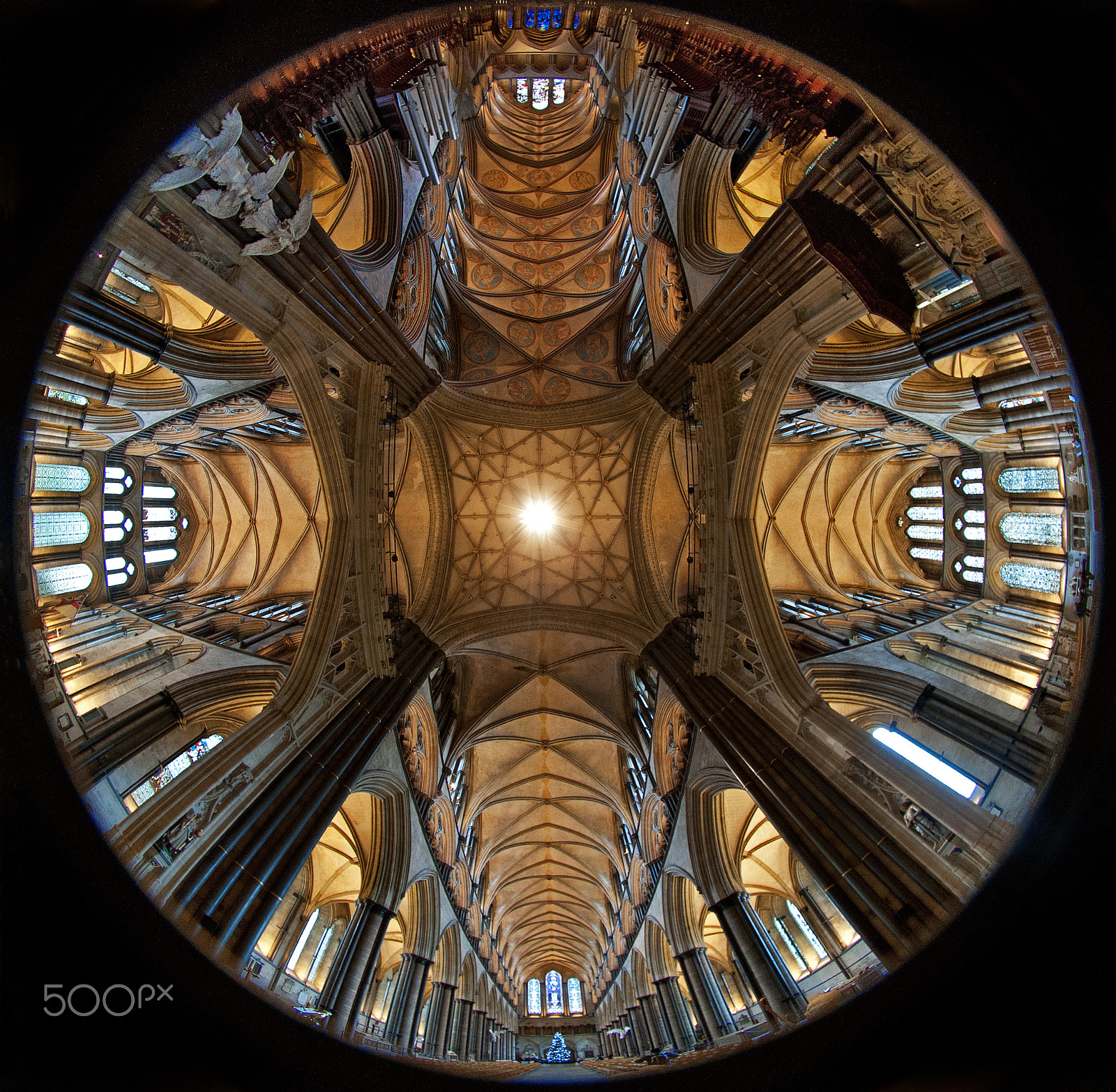 Nikon D700 sample photo. Salisbury cathedral - 180 degree ceiling photography