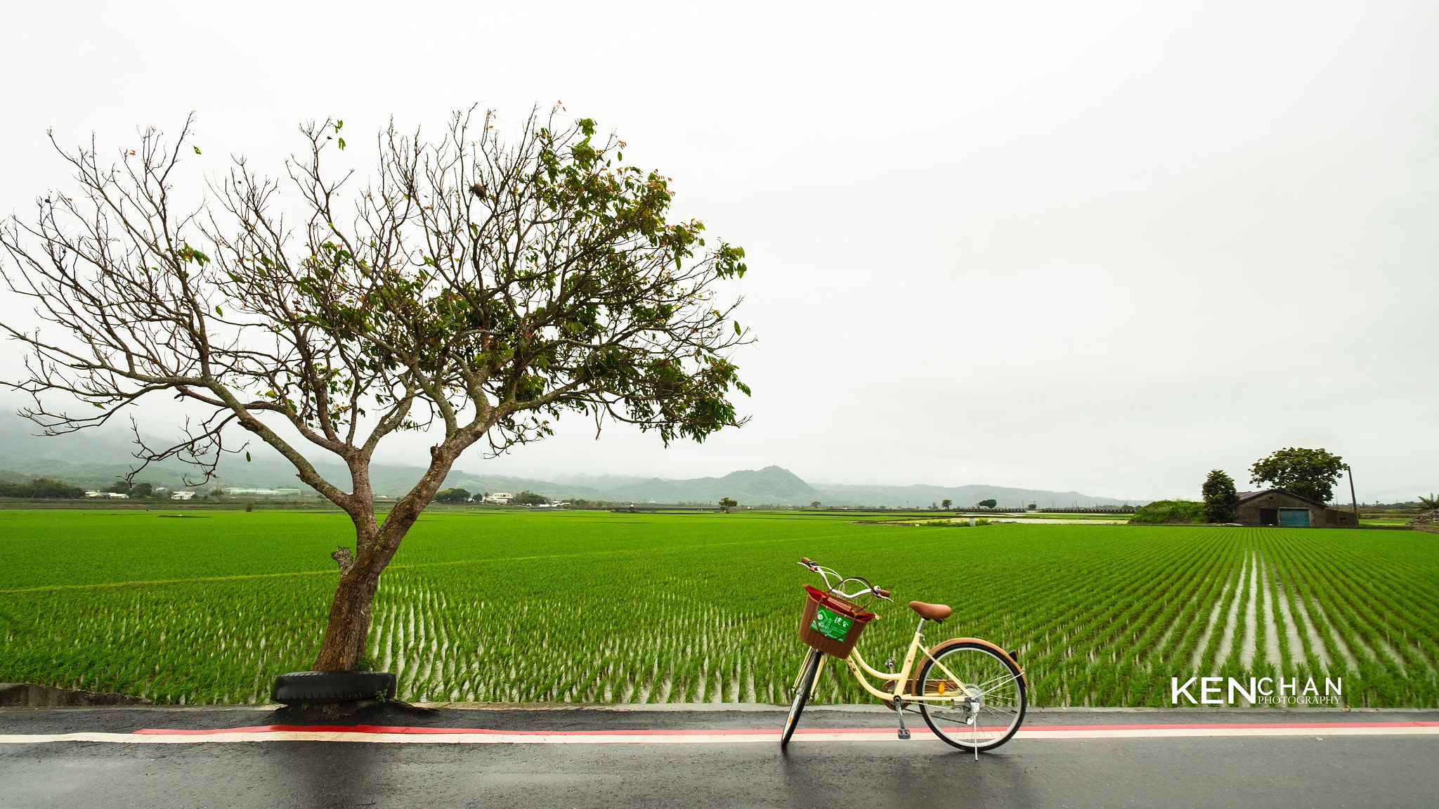 ZEISS Touit 12mm F2.8 sample photo. Relax photography
