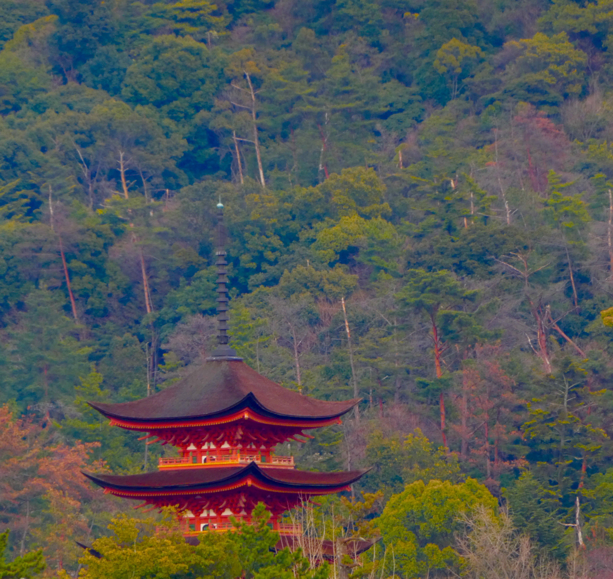 Panasonic DMC-TZ85 sample photo. 五重塔 pagoda photography