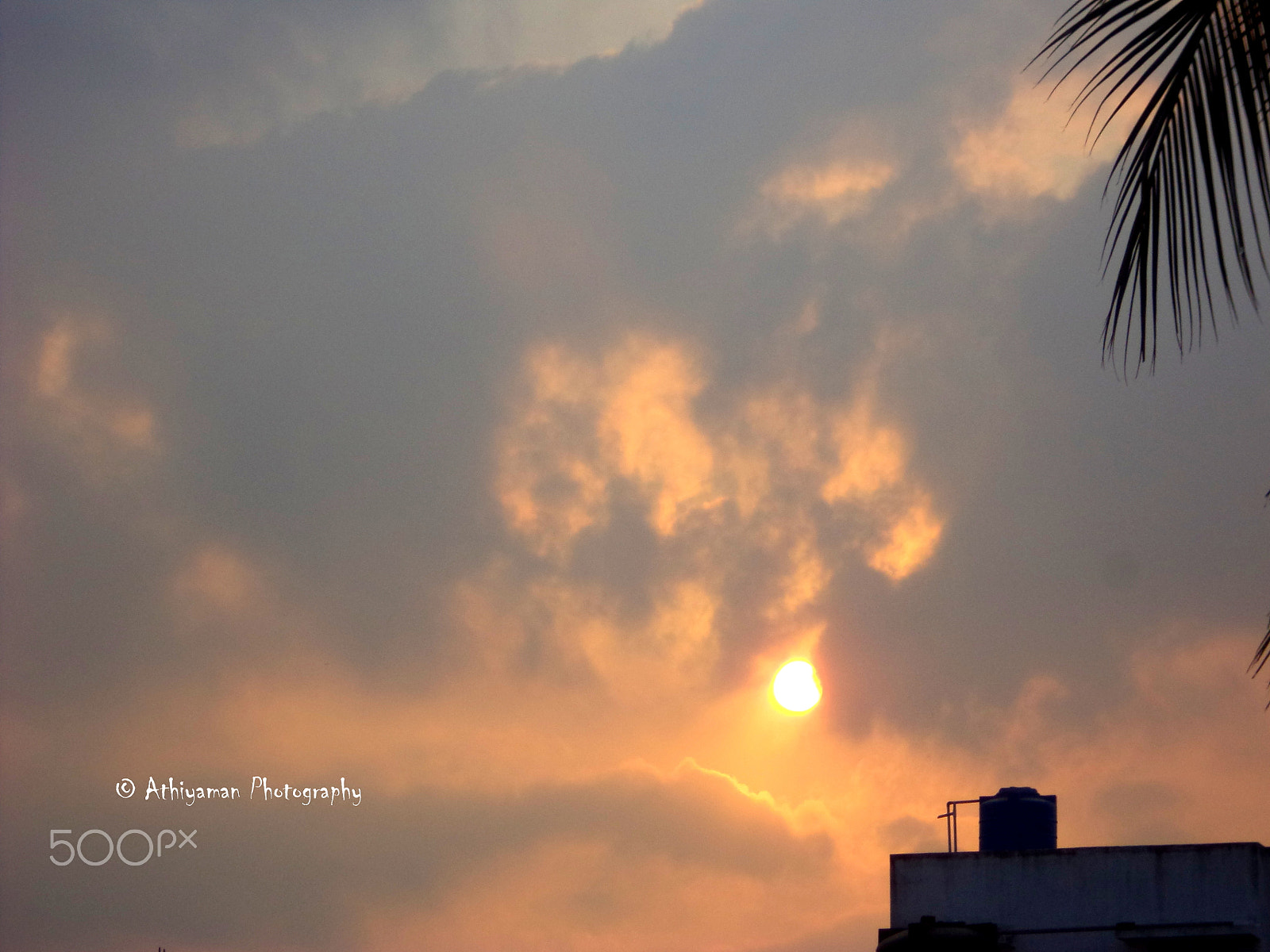 Sony DSC-S5000 sample photo. Clarity! photography