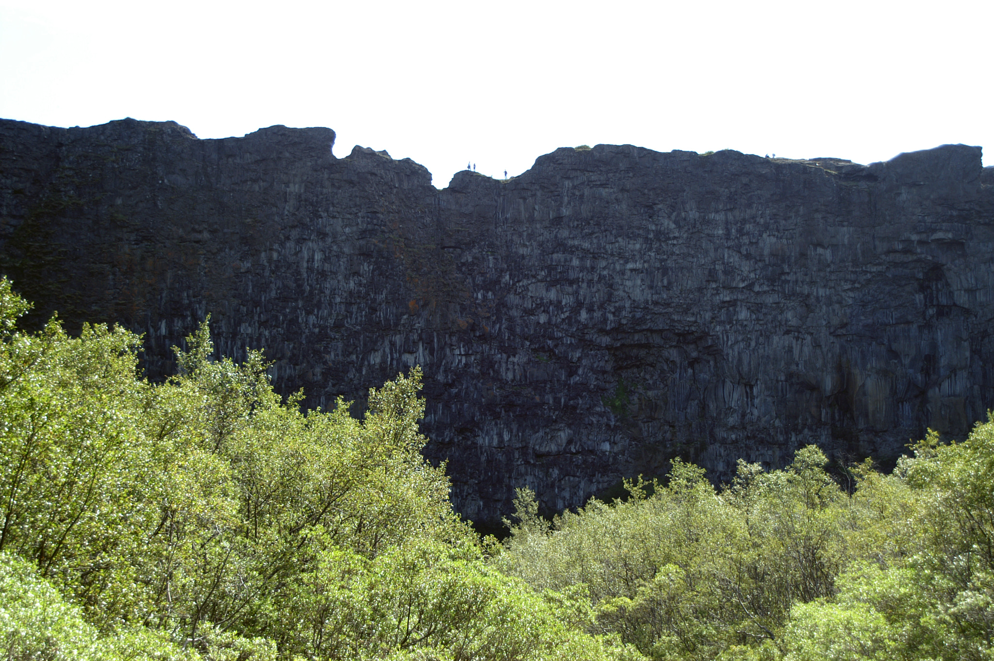 KONICA MINOLTA MAXXUM 5D sample photo. Bravely on the edge photography