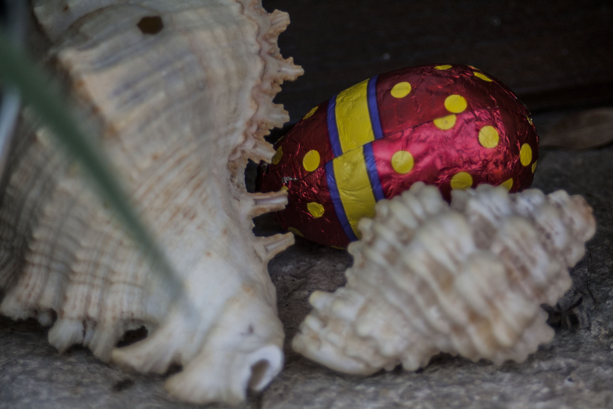 Canon EF 28-80mm f/3.5-5.6 sample photo