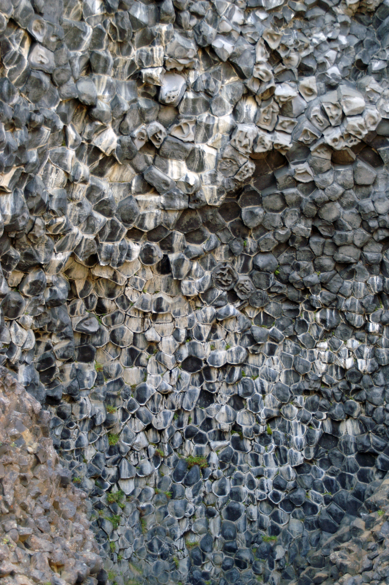 KONICA MINOLTA MAXXUM 5D sample photo. Columnar basalt formation at hljóðaklettar photography