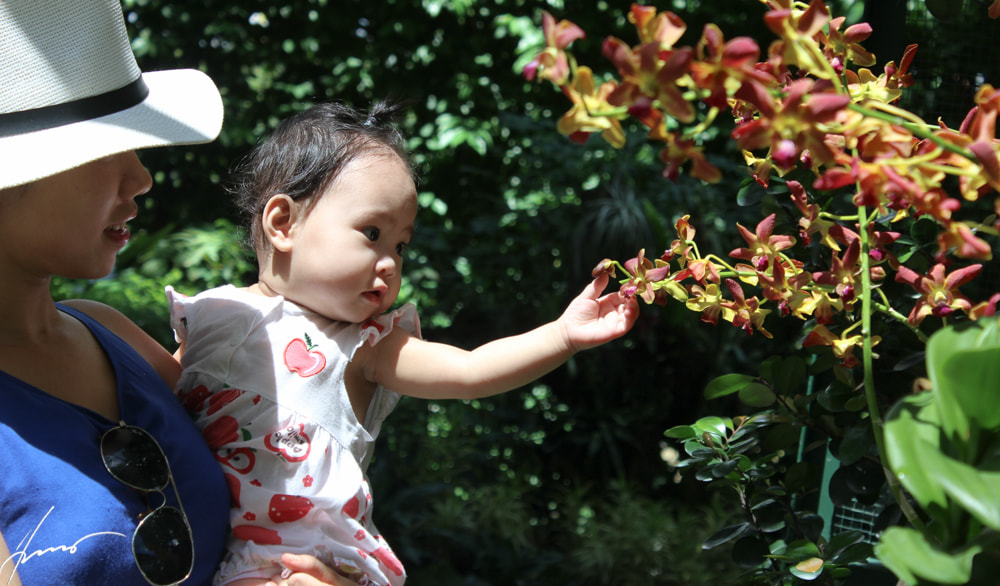 Canon EOS 600D (Rebel EOS T3i / EOS Kiss X5) + Canon EF-S 18-55mm F3.5-5.6 IS sample photo. Young nature lover.jpg photography