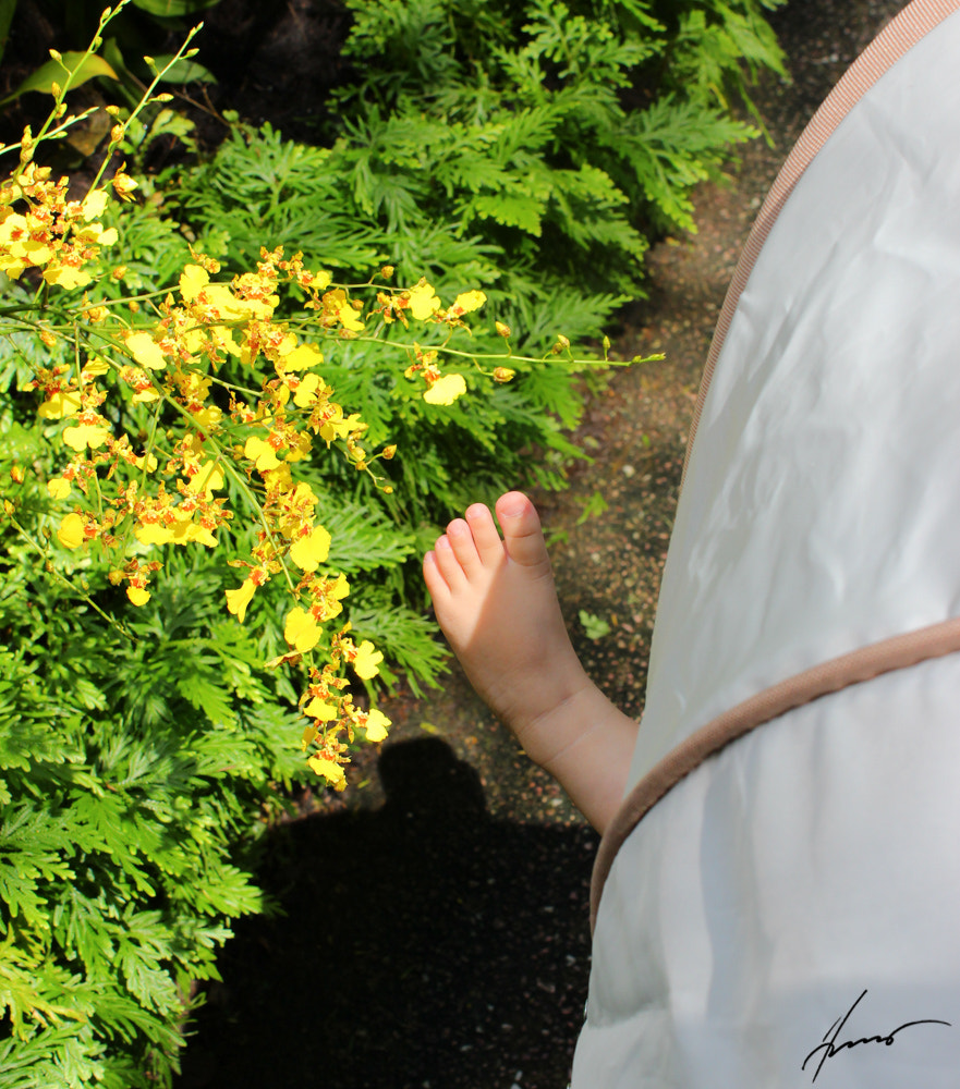 Canon EOS 600D (Rebel EOS T3i / EOS Kiss X5) sample photo. Sunlight and you.jpg photography