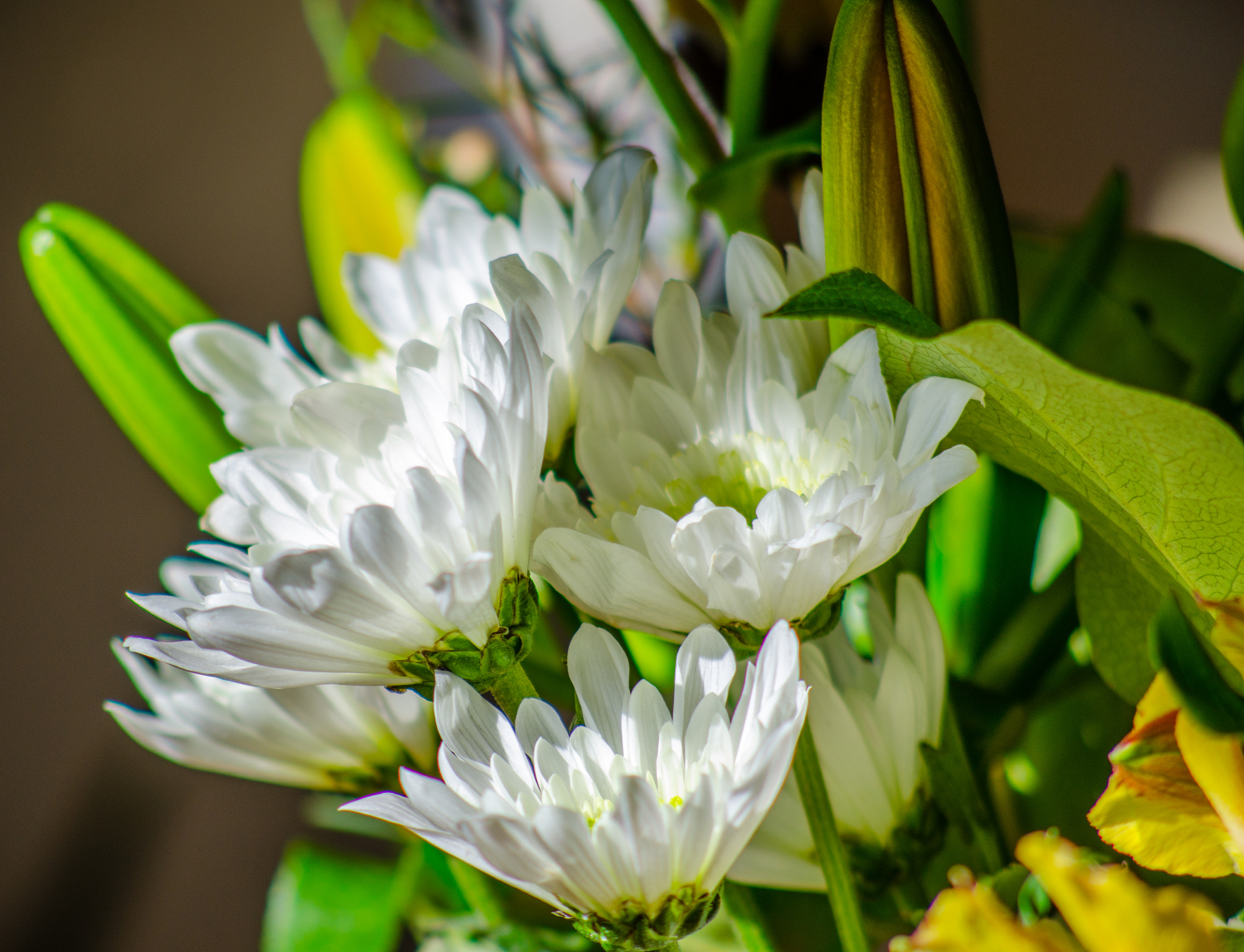 Nikon D7000 + AF Nikkor 70-210mm f/4-5.6 sample photo. Easter photography