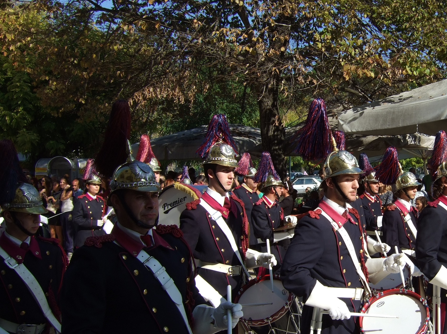 Fujifilm FinePix F31fd sample photo. '' palea" band photography