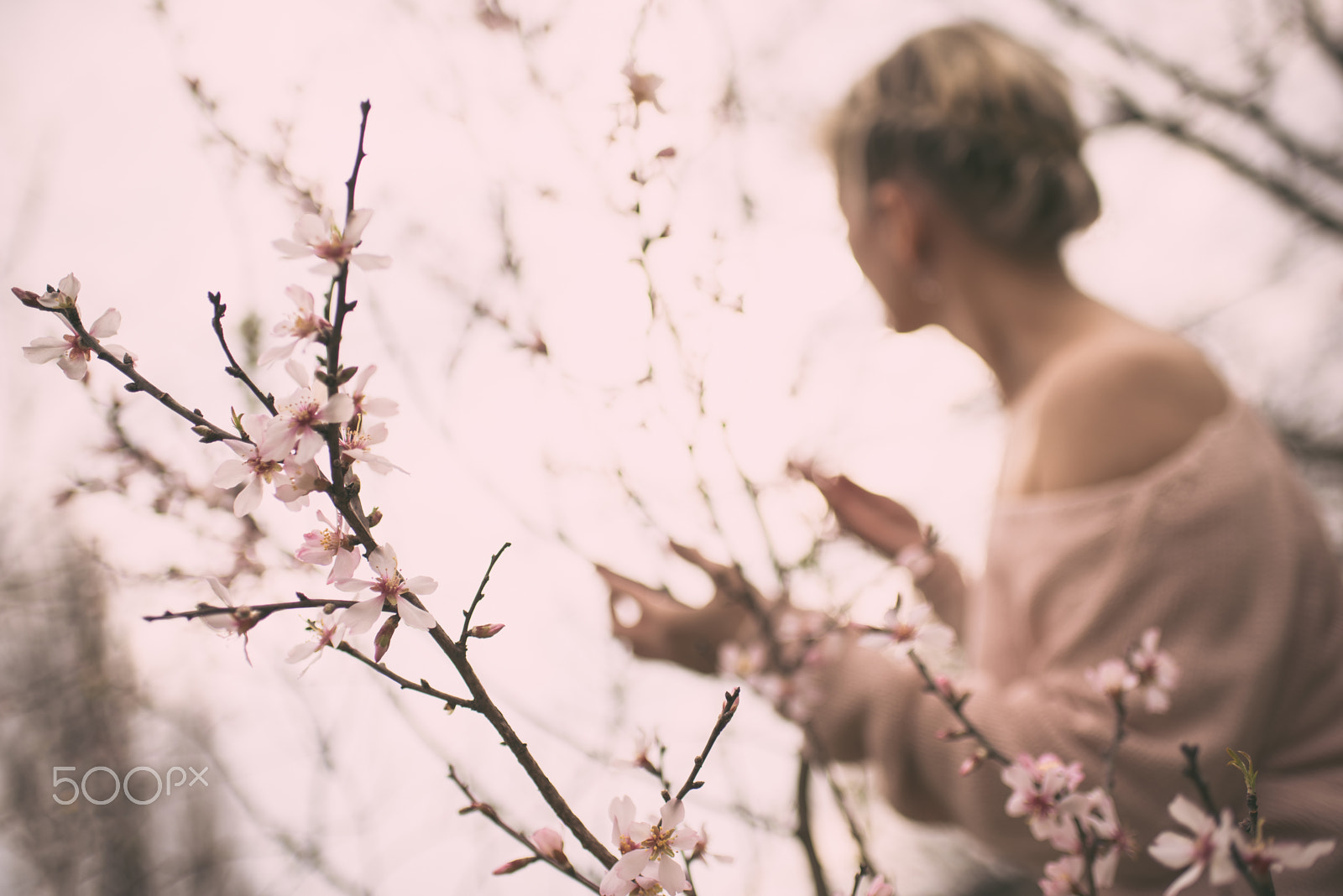 Nikon D750 + AF-S Nikkor 35mm f/1.8G sample photo. Peach photography