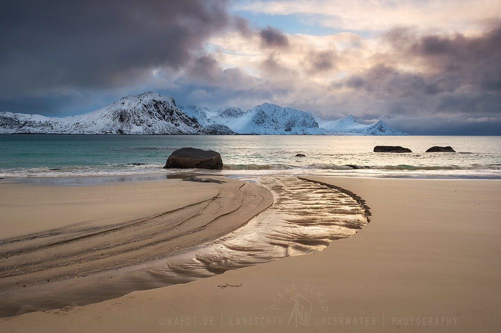 Nikon D4 sample photo. Golden haukland photography