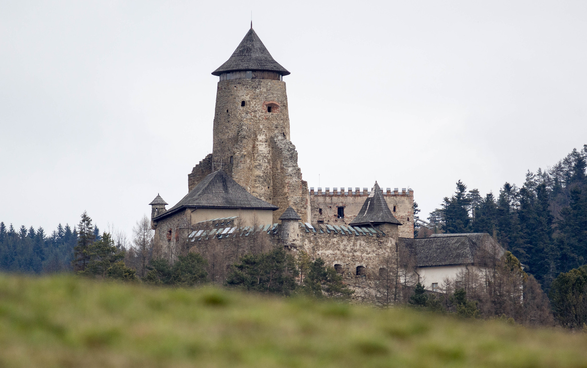 Nikon D3200 + Sigma APO 100-300mm F4 EX IF HSM sample photo. Castle/slovakia photography