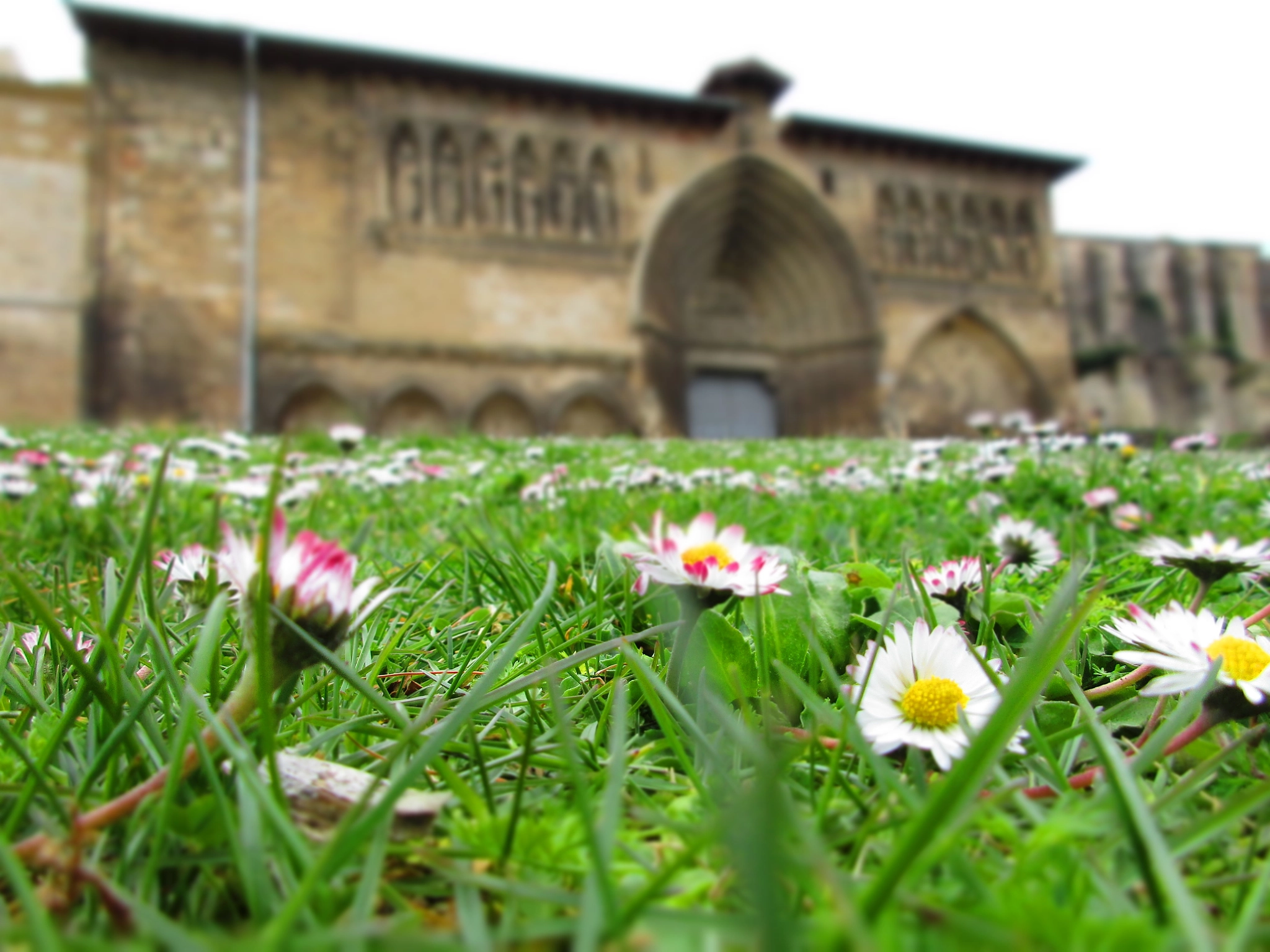 Canon PowerShot ELPH 170 IS (IXUS 170 / IXY 170) sample photo. Iglesia del santo sepulcro photography