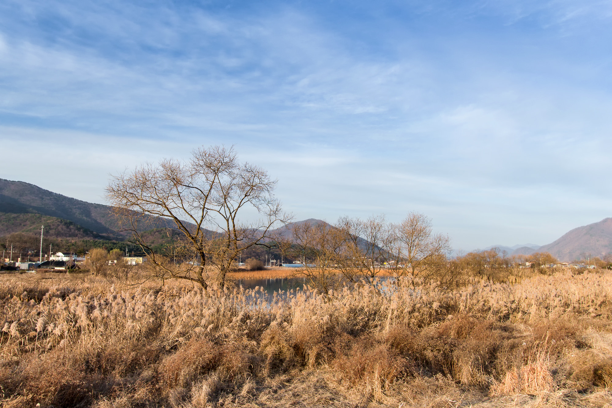 Canon EOS M sample photo. Water garden photography