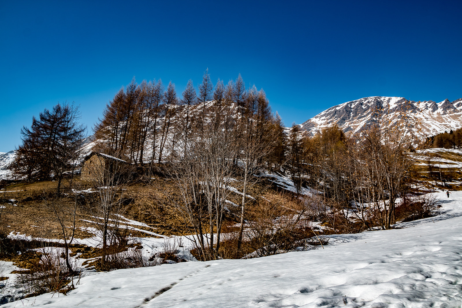 Canon EOS 70D + Canon EF 500mm F4L IS USM sample photo. Salendo a pian dell'alpe photography