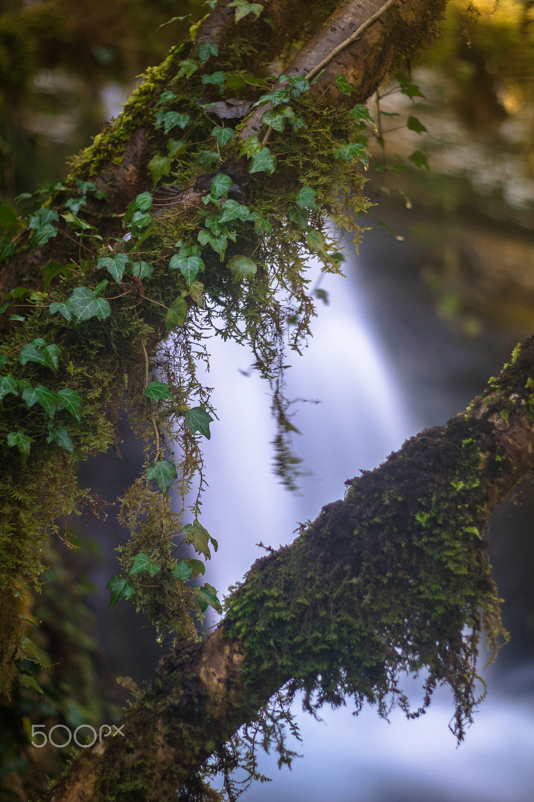 Canon EOS 750D (EOS Rebel T6i / EOS Kiss X8i) + Canon EF 50mm F1.8 II sample photo. Waterfall photography