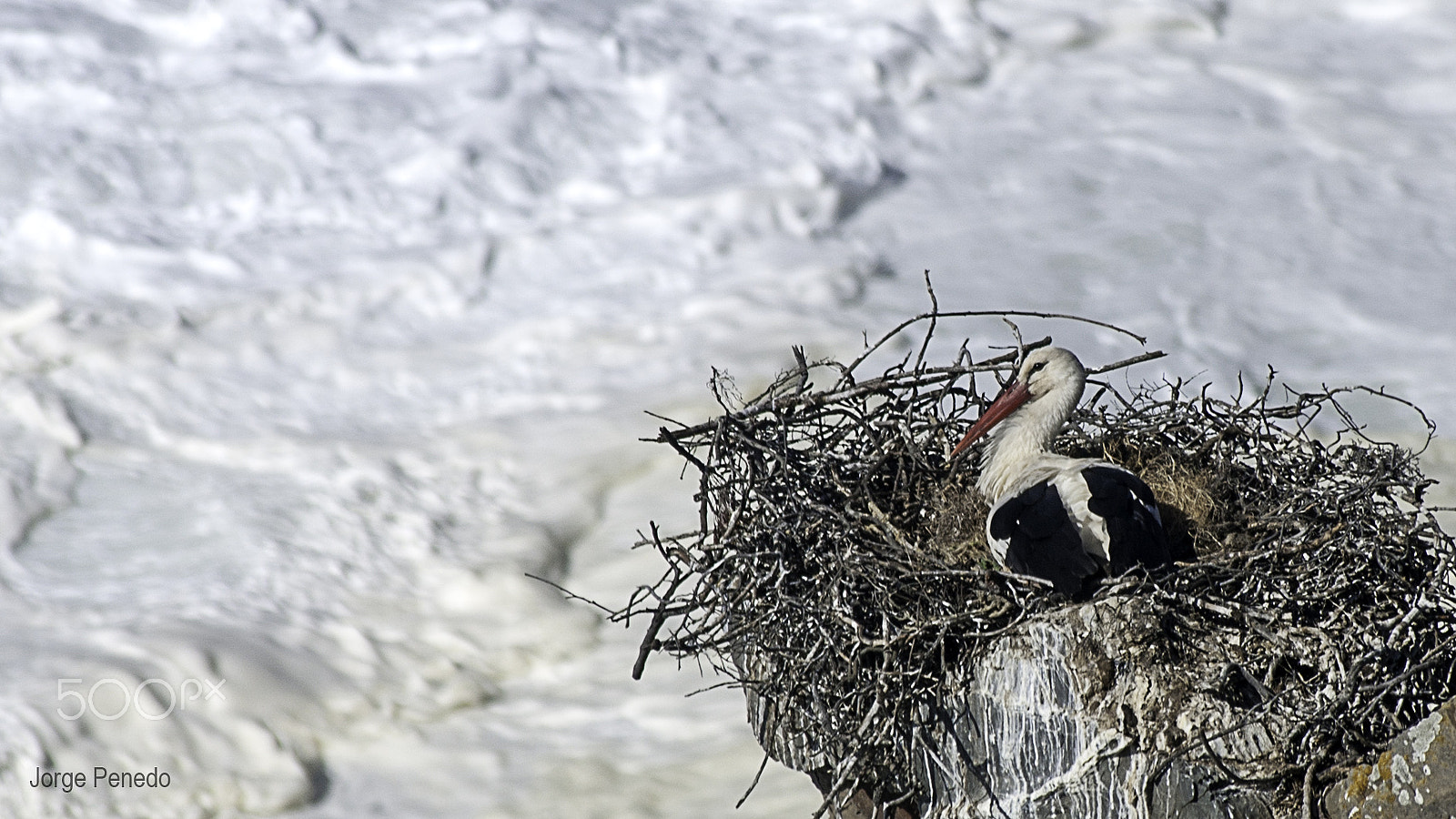 Minolta AF 100-300mm F4.5-5.6 APO [New] sample photo. Casa junto ao mar - stork photography