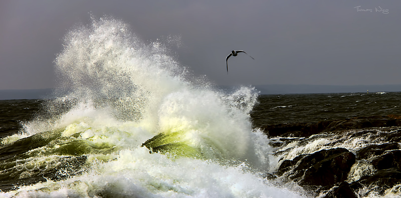 Samsung NX 50-200mm F4-5.6 ED OIS sample photo. Bird wave photography