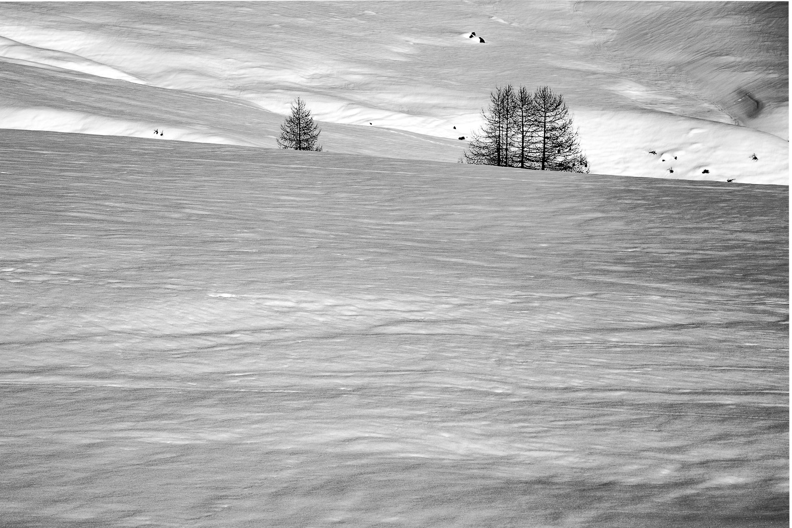 Canon EOS 70D + Canon EF 500mm F4L IS USM sample photo. L'infinito bianco photography