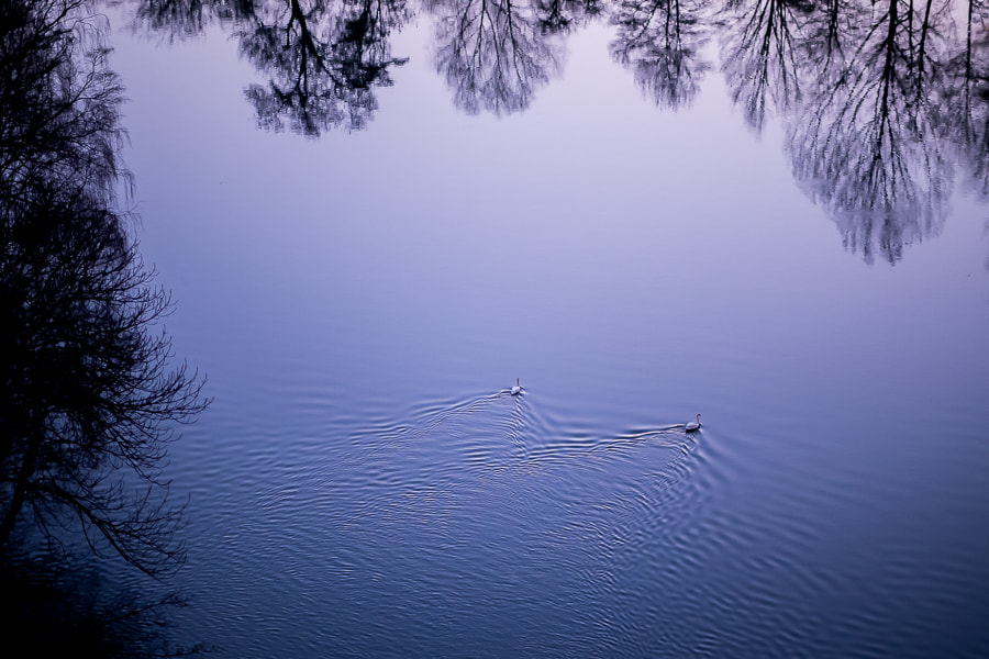 Panasonic Leica DG Nocticron 42.5mm F1.2 ASPH OIS sample photo. Peacefulness photography