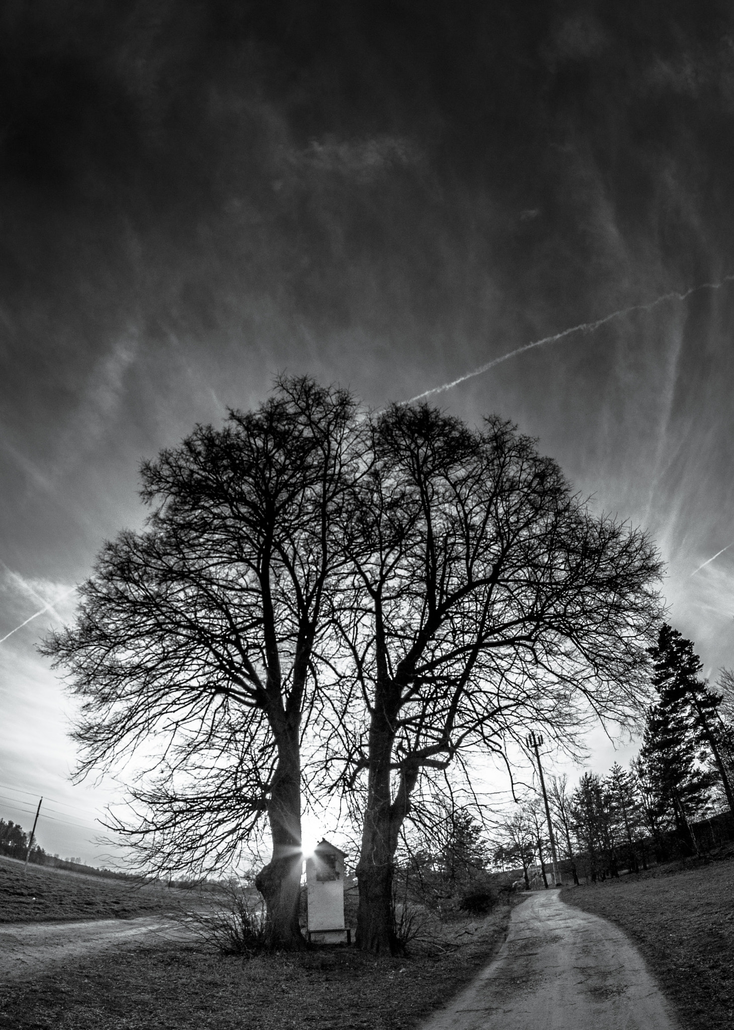 Nikon D300 + Samyang 8mm F3.5 Aspherical IF MC Fisheye sample photo. *** photography