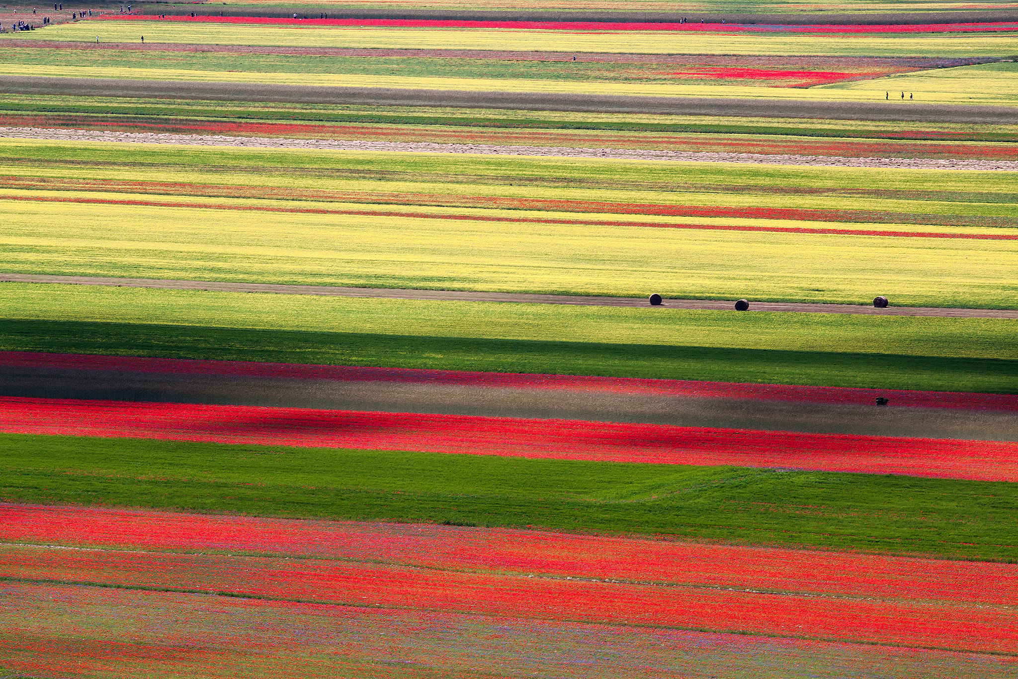 Canon EF 70-200mm F2.8L USM sample photo. Blossoming photography