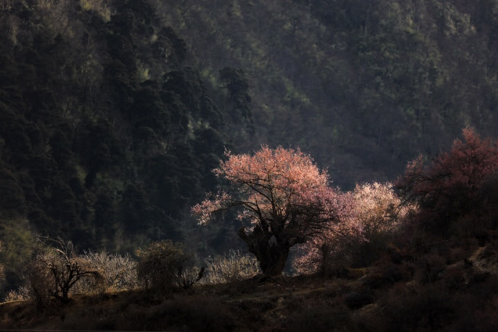 Canon EOS 5DS R sample photo
