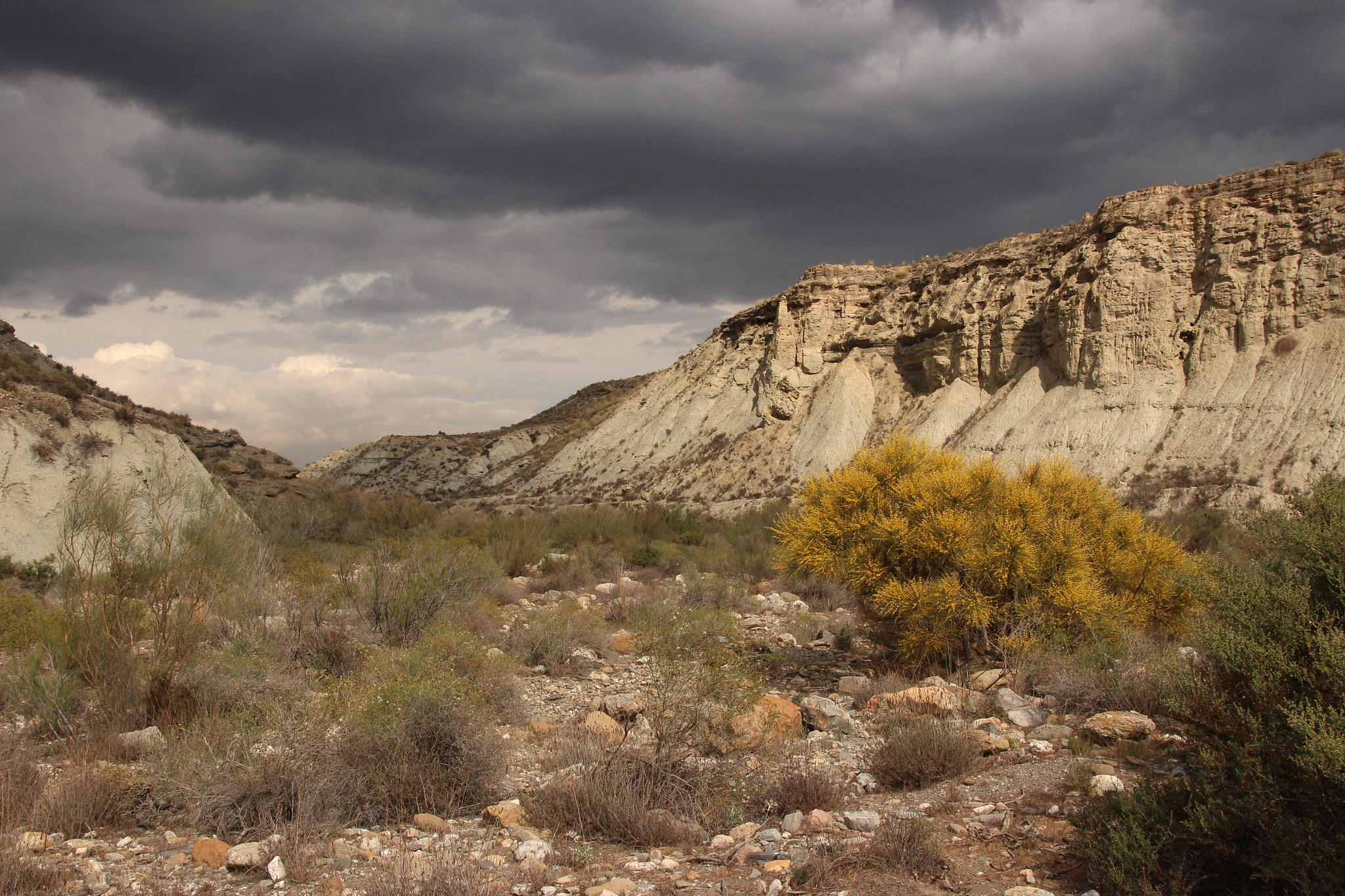 Canon EOS 650D (EOS Rebel T4i / EOS Kiss X6i) + Sigma 17-70mm F2.8-4 DC Macro OS HSM sample photo. El desierto de tabernas photography