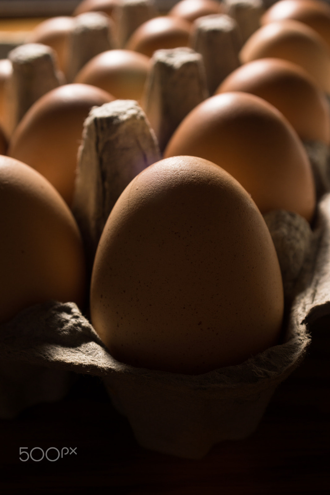 Sony SLT-A77 + Minolta AF 28-85mm F3.5-4.5 sample photo. Eggs poultry concept. photography