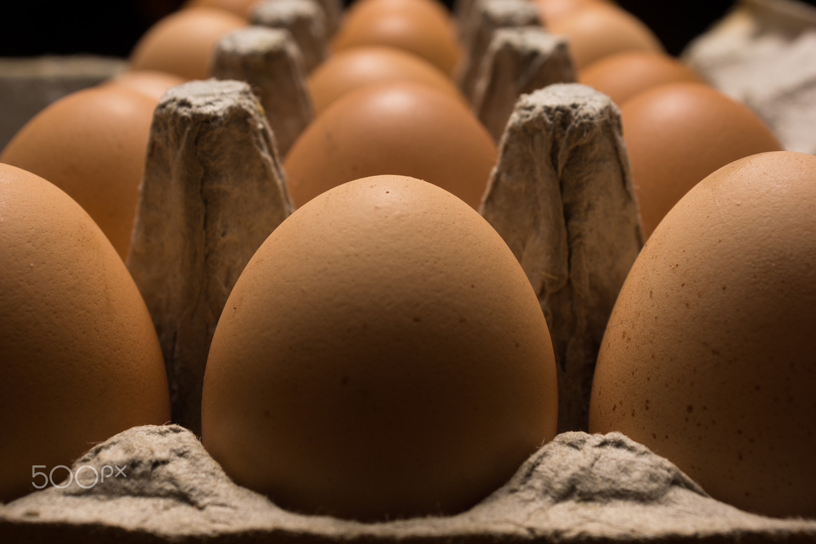 Sony SLT-A77 + Minolta AF 28-85mm F3.5-4.5 sample photo. Eggs poultry concept. photography