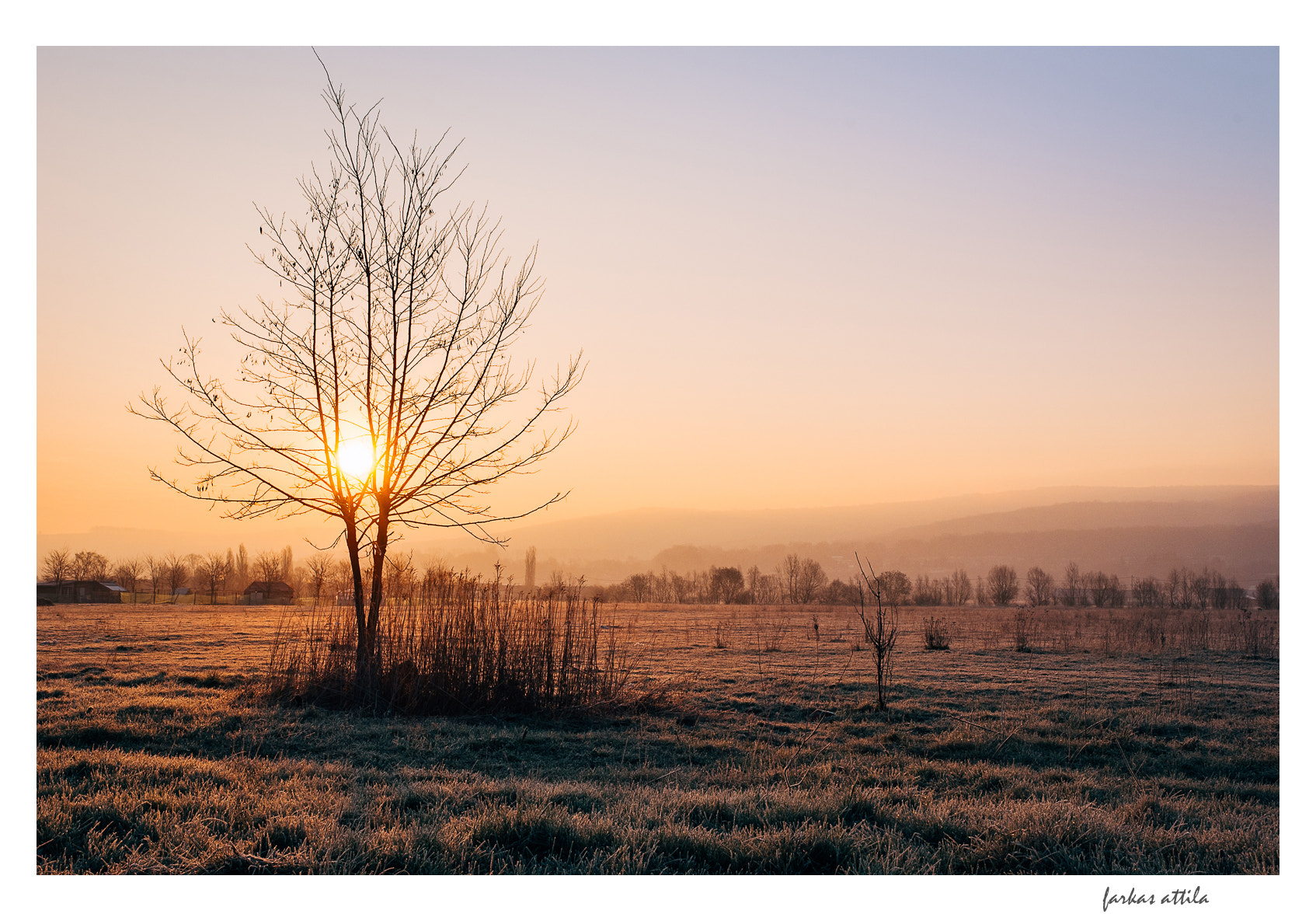 Nikon D60 sample photo. Golden light... photography