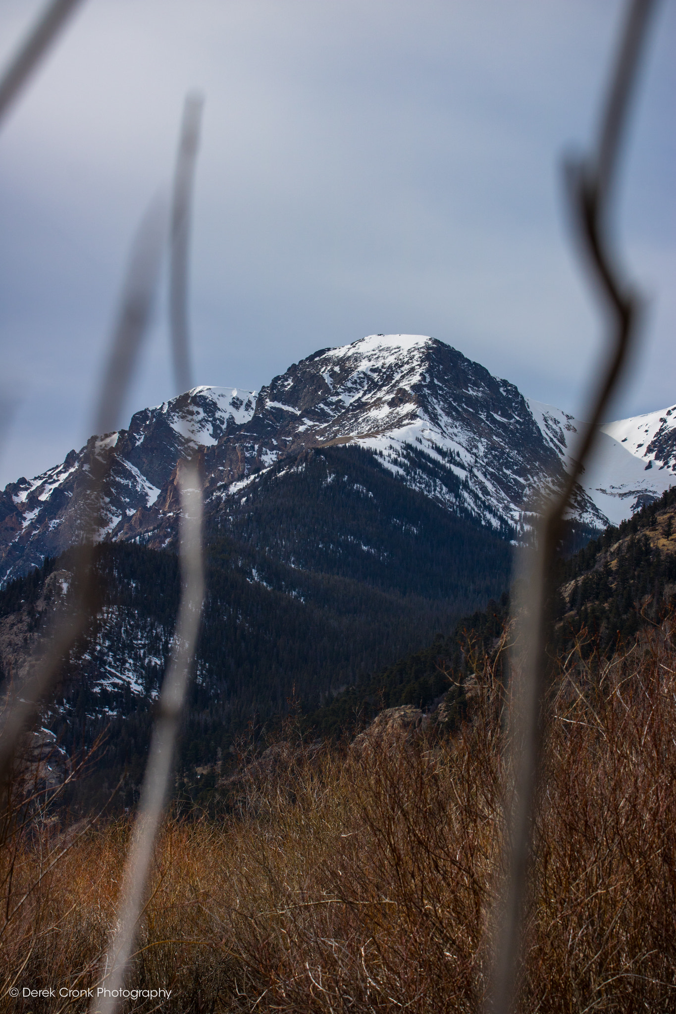 Canon EOS 750D (EOS Rebel T6i / EOS Kiss X8i) + Canon EF 70-200mm F4L USM sample photo. Mount chapin - rocky mountain national park photography
