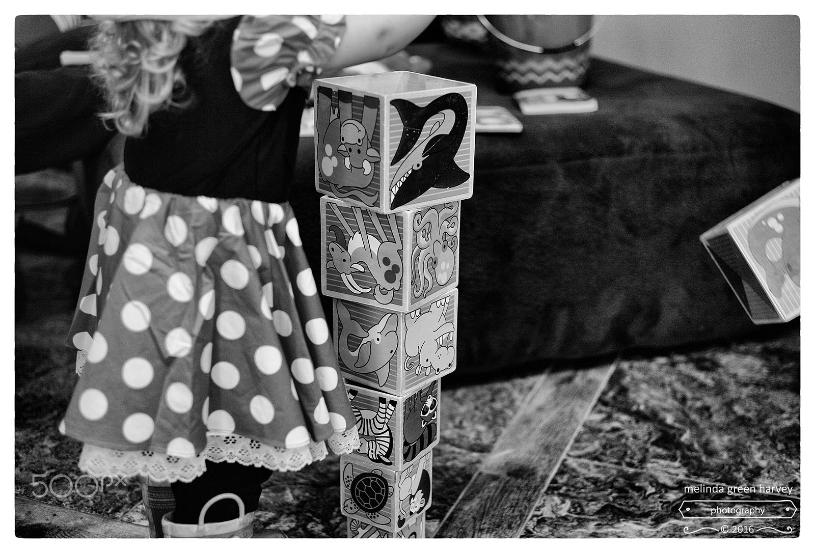 Leica Summarit-M 50mm F2.4 sample photo. Gravity: still working (part 2) photography