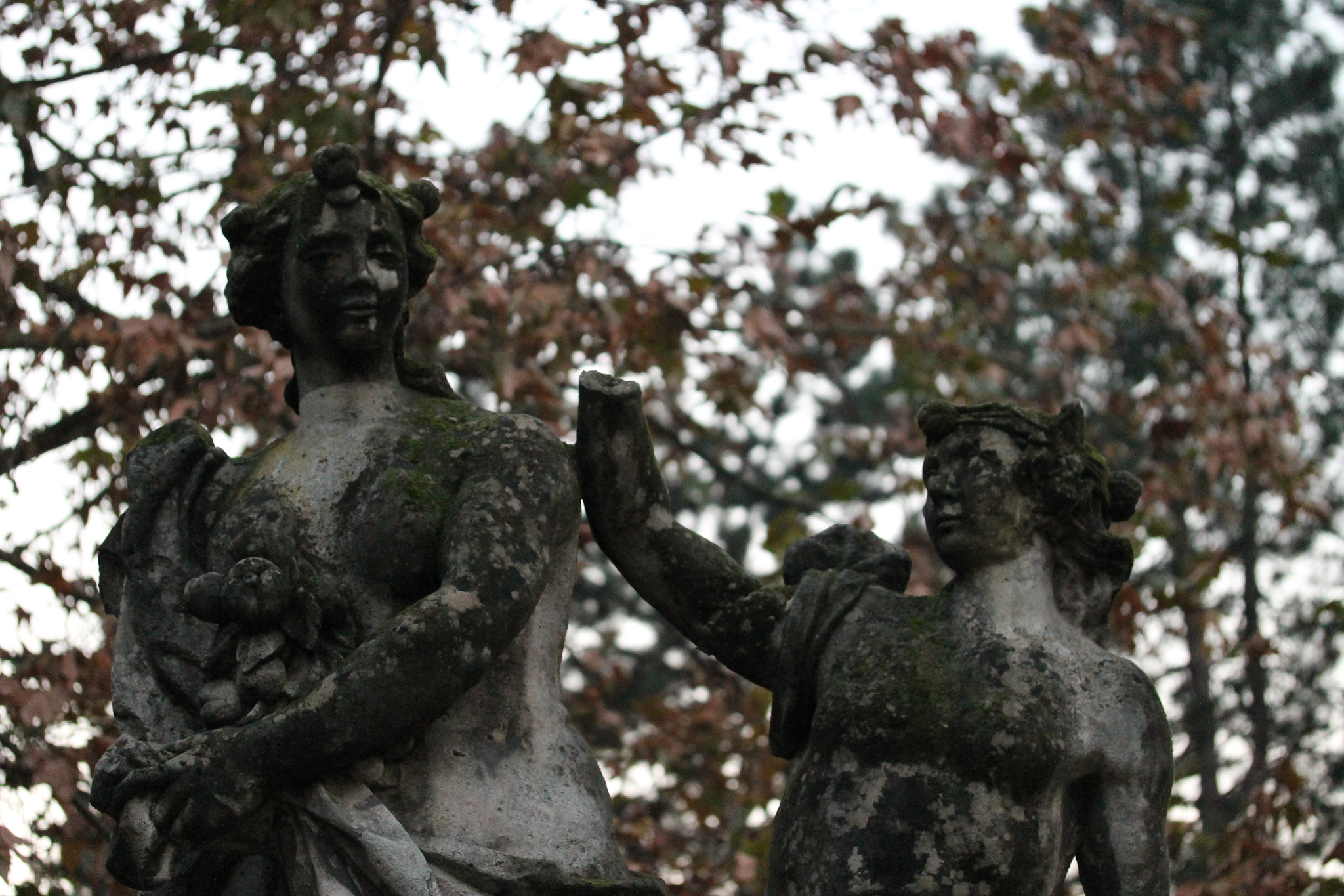 Canon EF-S 60mm F2.8 Macro USM sample photo. Do you want a hand? photography