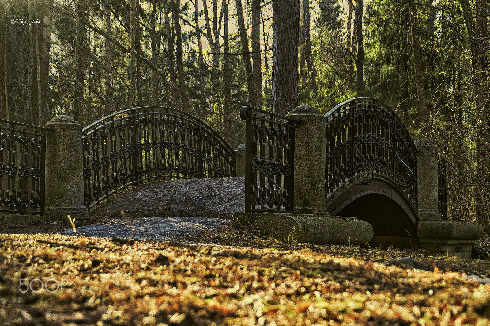 Sony SLT-A37 sample photo. Warm day in the рark. photography